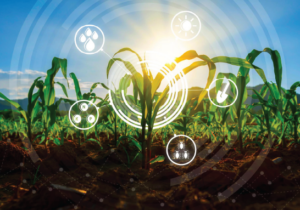 Compliance Automation Across Manufacturing Operations